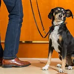 Victor's Residenz-hotel Teistungenburg Szálloda