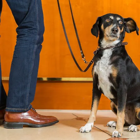 Victor's Residenz-hotel Teistungenburg Hotel