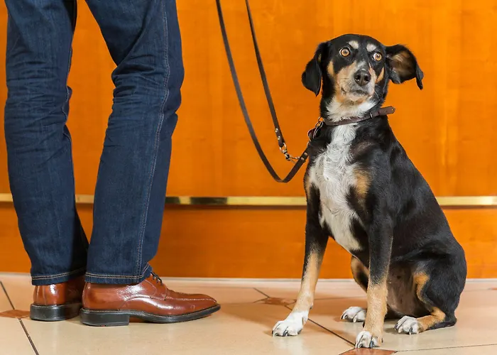 Victor's Residenz-hotel Teistungenburg Otel